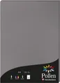Produktbild: Clairefontaine Pollen farbiges Papier Dunkelgrau 120g/m² DIN-A4 50 Blatt Grau