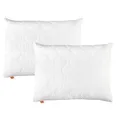 Produktbild: sleepling Kopfkissen 70x90 cm 2er Set, Polster, Allergiker Kissen, waschbar, Made in EU, Ökotex, großes Schlafkissen 70 x 90, Bettkissen, Pillow, 2 Stück, Komfort 100