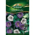Produktbild: Glockenrebe, Glockenklang