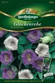 Produktbild: Glockenrebe Glockenklang Samen von Quedlinburger Saatgut