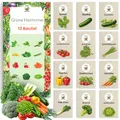 Produktbild: TORAF Gemüsesamen Set 12 Ausgesuchte Sorten – Premium Saatgut für Garten, Balkon, Hochbeet - Leicht anzubauen - Ideal für Anfänger und Gartenliebhaber - für Frische Ernte zu Hause - Geschenkset