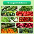 Produktbild: Gemüsesamenset 12 Sorten Samen Saatgut für Gemüse Geschenkset