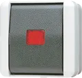Produktbild: JG 806 KOW - Kontrollschalter, 10 AX 250 V AC