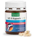 Produktbild: Sanct Bernhard UC-II Kapseln- 60 Kapseln (807,69 EUR/kg)