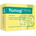 Produktbild: Yomogi® 250 mg