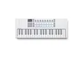 Produktbild: Novation Masterkeyboard (Masterkeyboards, MIDI-Keyboard mini), Launchkey Mini 37 MK4 - Midi Keyboard