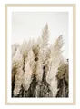Produktbild: Gerahmtes Bild Wandbild Kunstdruck MDF Beige Weiß Pampasgras 50 x 70 cm