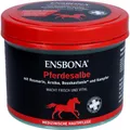 Produktbild: PFERDESALBE classic Ensbona 500 ml
