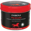 Produktbild: 2x PFERDESALBE classic Ensbona 500 ML