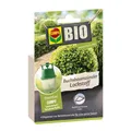 Produktbild: COMPO BIO Buchsbaumzünsler Lockstoff