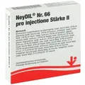 Produktbild: Neydil Nummer 6 6 pro injectione St. Ii Ampullen