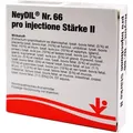 Produktbild: Neydil Nr.66 Pro Injectione St. Ii Ampullen 5X2 ml