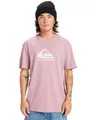 Produktbild: Quiksilver Ev Comp Logo SS T-Shirt Herren (1 Stück)