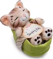 Produktbild: NICI Kuscheltier Katze Bengal 12cm schlafend im