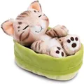 Produktbild: NICI Kuscheltier Sleeping Pets GREEN 49747, Katze im hellgrünen Körbchen, ab 0 Jahre, 12 cm