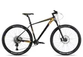 Produktbild: Axess Pride Mountainbike | MTB-Hardtail | 1x11-Schaltung | Hydraulische Scheibenbremsen, Farbe:satinblack Gold Grey, Rahmengröße:19 Zoll
