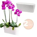 Produktbild: 2x Orchideentopf Orchideen Übertopf Pflanztöpfe Übertöpfe für Orchideen aus Kunststoff Innen Elegant Orchideentopf groß weiß