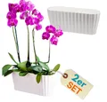 Produktbild: GarPet Blumentopf 2er Set Orchideentopf Kunstoff Elegant Orchideen Über Pflanz groß weiß