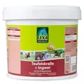 Produktbild: Lexa Teufelskralle + Ingwer pell., 3 kg (13,97 EUR/kg)