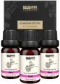 Produktbild: BRUBAKER Duftöl 3er-Set Rosen Öl - Weiblichkeit, Sinnlichkeit (Naturrein & Vegan, 3 x 10 ml Rosenöl), Ätherische Öle Aromatherapie Geschenkset