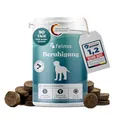 Produktbild: felmo Beruhigungs-Snacks für Hunde 180g mit Baldrian, Johanniskraut & L-Tryptophan - kaltgepresste Hundeleckerli für Stresssituationen, zuckerfrei