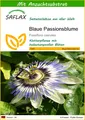 Produktbild: SAFLAX  - Blaue Passionsblume - Passiflora - 25 Samen - Mit Substrat