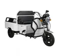 Produktbild: Urban Hopper E-Motorroller Cargo Compact Elektro Lastenrad Lasten-Dreirad VT5-Mini Pritsche, 1000 W, 25 km/h, klappbar 1KW, 6V 20Ah, 40km Reichweite mit COC