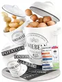 Produktbild: IDEALTASTIC Vorratsdose Premium Kartoffel Aufbewahrung, Zwiebel, Knoblauch Aufbewahrungsbox, Legirter Stahl, langlebig, Extra leicht, (Set, 3-tlg., 3-teiliges Set für Kartoffeln, Zwiebeln & Knoblauch), Kartoffel-Zwiebel-Knoblauch Set, 3-tlg. mit 360° Belüftung