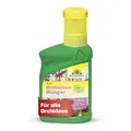 Produktbild: Neudorff Azet Orchideendünger - 100% natürlicher Bio Dünger für schnelles Wachstum und langanhaltende Orchideenblüten aller Orchideen, 250 ml