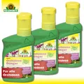 Produktbild: Neudorff 3x 250 ml Azet OrchideenDünger für gutes Wachstum beeindruckende Blüten