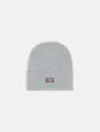 Produktbild: Dickies Beanie Dickies Workwear Mützen ACRYLIC CUFFED BEANIE