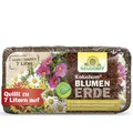 Produktbild: Neudorff KokoHum BlumenErde – Praktische Brikett-Erde erspart schweres Schleppen und ist ideal für kräftiges Wurzelwachstum, 7 Liter