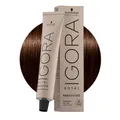 Produktbild: Schwarzkopf Igora Royal Absolutes 4-60 Mittelbraune Naturschokolade 60ml