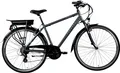 Produktbild: Zündapp E-Bike Trekking Green Herren 7.7 28 Zoll 21-Gang 374 Wh grau blau