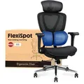 Produktbild: FLEXISPOT Ergonomischer Bürostuhl mit Dual-Wing Lendenstütze, 3D-Kopfstütze, 3D-Armlehnen, verstellbarer Sitztiefe & Rückenlehne (Schwarz) - Schwarz