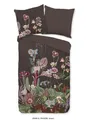 Produktbild: Good Morning Renforcé Bettwäsche 155 X 220 cm + 1- 80 X 80 cm Phoebe flowers bra