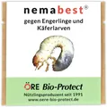Produktbild: nemabest® HB Nematoden für 20m² (10 Mio.) gegen Engerlinge und Käferlarven