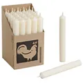 Produktbild: 25 Stabkerzen Elfenbein - Ivory 180 x 22 mm Kerzenfarm Kerzen Candle