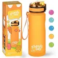 Produktbild: Schmatzfatz Trinkflasche Sportflasche 500 Ml 24 Cm Tritan