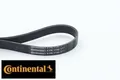 Produktbild: Continental CTAM 6PK1190 Keilrippenriemen Keilriemen