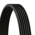 Produktbild: Keilriemen,mehrrippig 6PK1190 CONTINENTAL CTAM für CADILLAC RENAULT BMW CITROËN