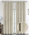 Produktbild: Samt Vorhang Ösen Verdunkelung Gardine Velvet Blickdicht, 140x145 cm (Breite 140 cm, Höhe 145 cm, Beige)