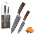Produktbild: Wakoli EDIB 2-teiliges Küchenmesser Set aus echtem Damaststahl (VG10 Kern) in edler Geschenkbox – mit 2x Santoku Messer – Scharfe Damastmesser im Damastmesser Set mit ergonomischen Pakkaholzgriffen