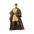 Produktbild: Star Wars Hasbro The Black Series, Jedi Yord Fandar, Actionfigur für Erwachsene,