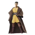 Produktbild: Star Wars: The Acolyte Black Series Action Figure Yord Fandar 15 Cm Hasbro