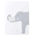Produktbild: Räder Tierische Babykarte Elefant Wir freuen Uns riesig