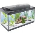 Produktbild: Tetra Aquarium Starter Line LED 54 L schwarz