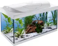 Produktbild: Tetra Aquarium Starter Line LED 54 L weiß