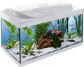 Produktbild: Tetra Aquarium Starter Line LED 54 L weiß  Aquarium