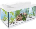 Produktbild: Tetra Aquarium Komplettset 54 L LED Beleuchtung Heizer Filterbox Einsteiger Weiß